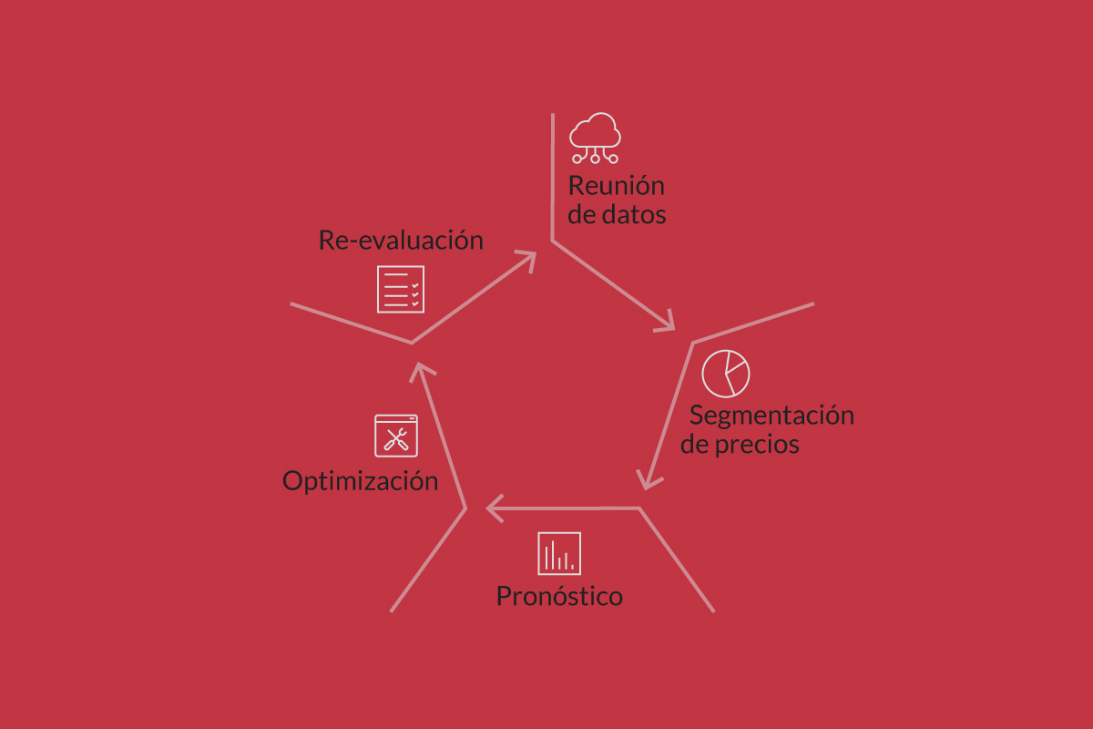 Proceso Revenue Management